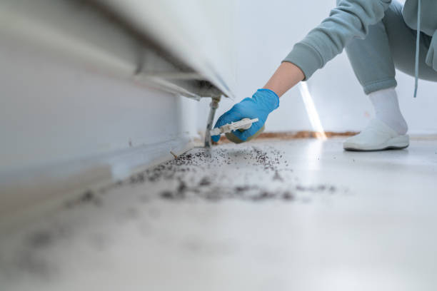 Best Exterminator Services  in Louisa, VA